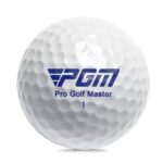single golf ball 2ply