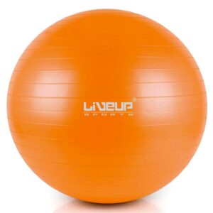 55cm anti burts