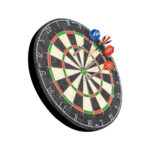 professional dartboard