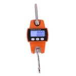 mini crane scale digital [300kg]