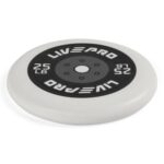 frisbee