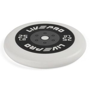 frisbee