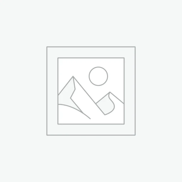 ELECTRIC WHEEL CHAIR - DHO01107LGC Awaiting product image